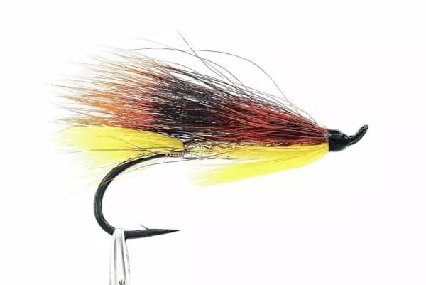 Salmon Singles lajitelma - Image 4