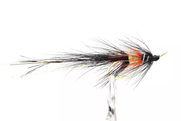 PBP Shrimp Black & Gold