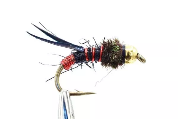 Prince Pseudo Nymph