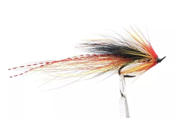 Ally's Red Cascade Shrimp