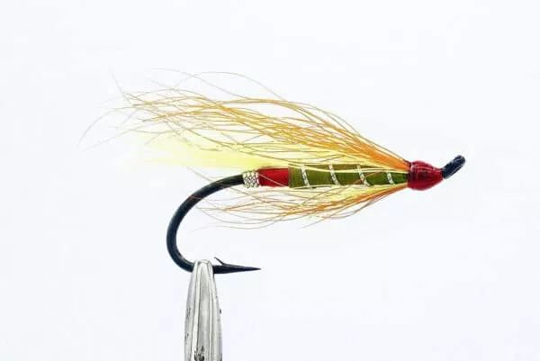Salmon Singles lajitelma - Image 8