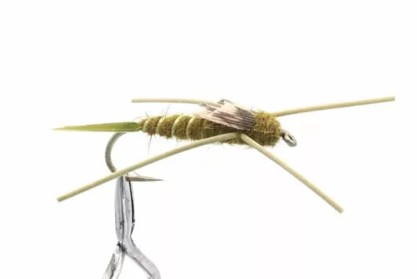 Stonefly Olive Rubberlegs