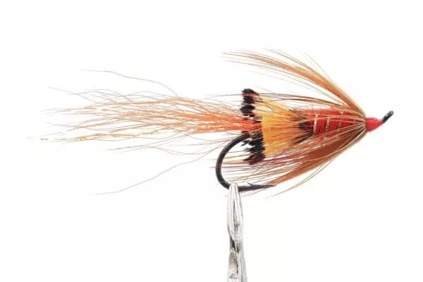 Tippet Shrimp