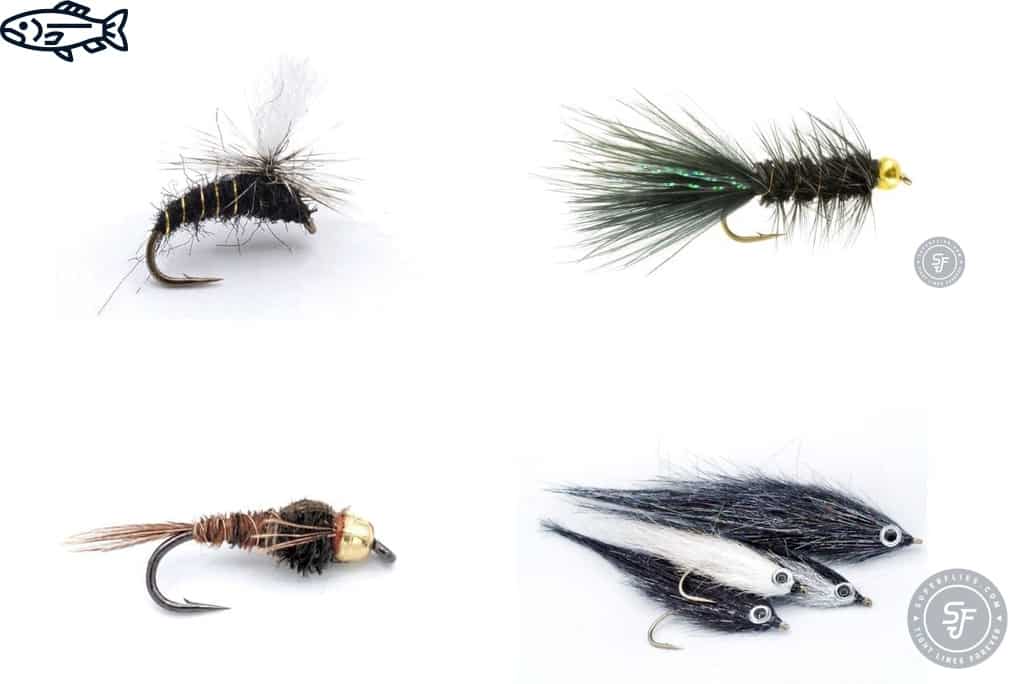 Trout Flies Selection The musthaves for any angler