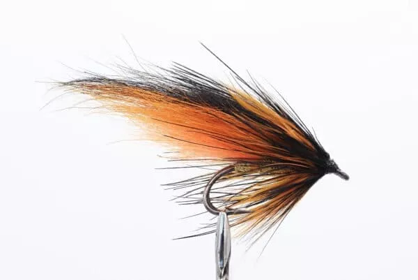Willie Gunn Loop Double
