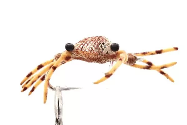 Alphlexo Crab - Image 4