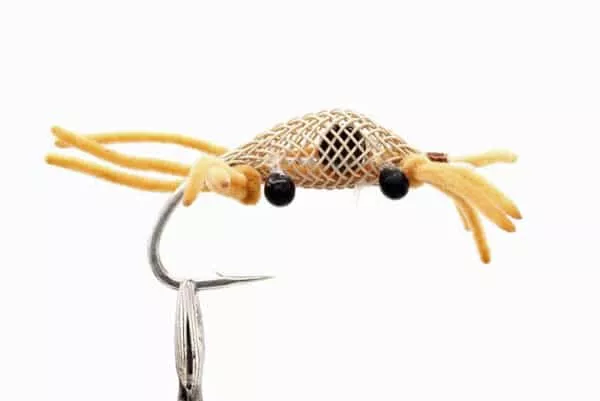 Alphlexo Crab - Image 3