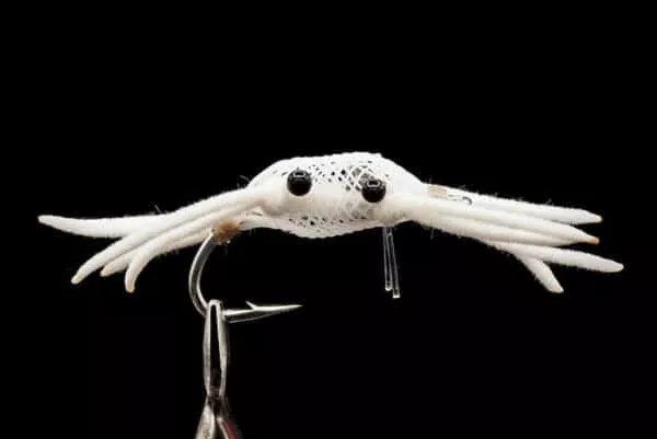 Alphlexo Crab - Image 6