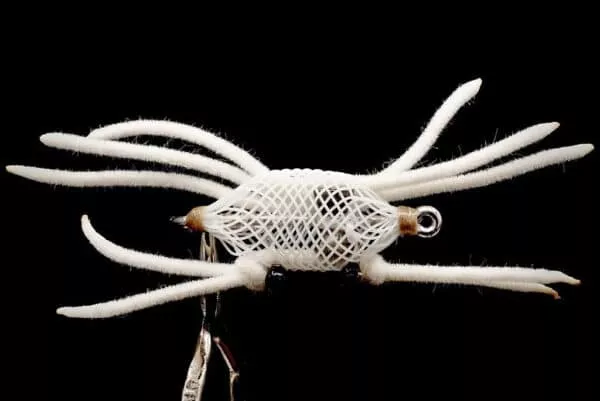 Alphlexo Crab - Image 2