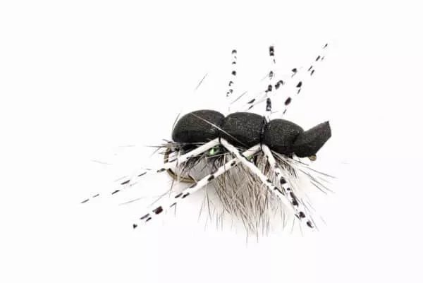 Lindsey's Foam Spider - Image 2