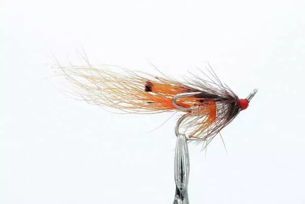 Simojoen lohiperhot - Oppaan valinnat - Image 7