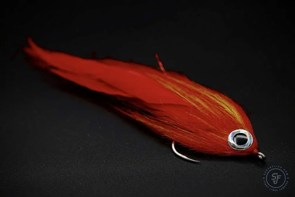 Flaming Lambourghini, one of our brighter GT flies