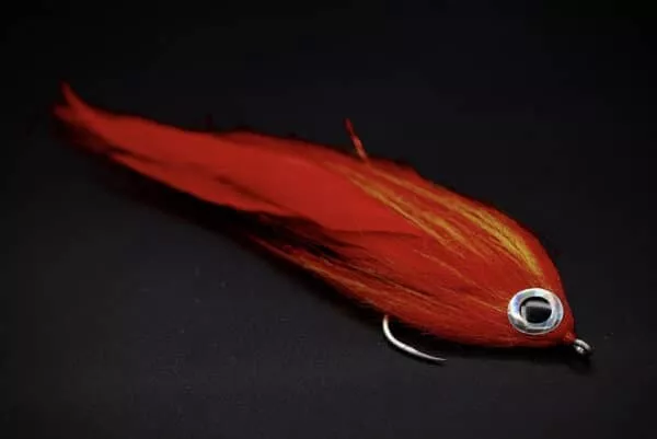 Flaming Lambourghini, one of our Sechelles GT flies