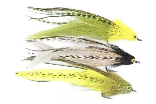 Andino Deceiver