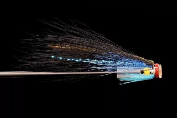Blue Streak Hitch