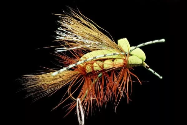 Chernobyl Bug