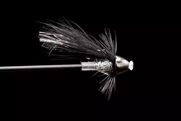Collie Dog Micro Tungsten Conehead