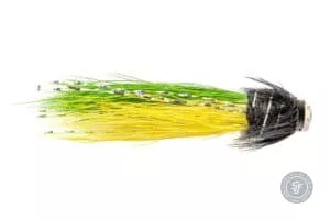 Snaelda Yellow Freen tube fly on tungsten tube