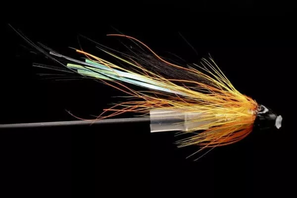 Cascade Pig Tungsten Conehead