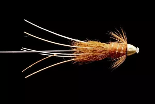 Frances Brown Tungsten Conehead - Image 2