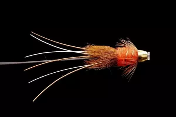 Frances Fire Orange Brass Conehead - Image 2