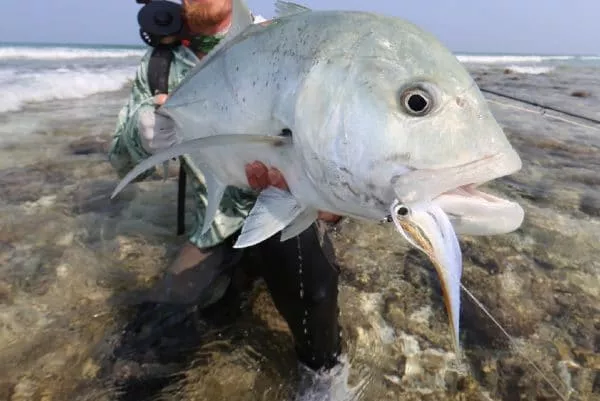 Magnetic Minnow - Image 4