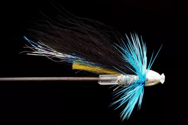 Blue Herring Templedog Micro Conehead