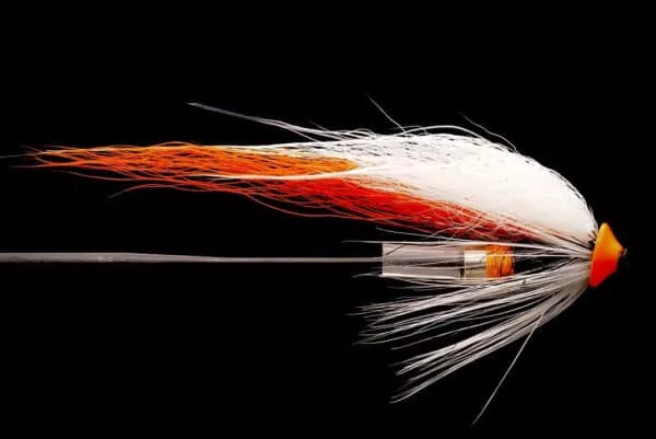 Junction Shrimp Disc Cone putki