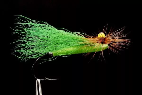 Stone Fly Green