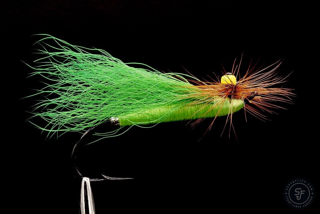 Stone Fly Green Salmon fly with brown hackle