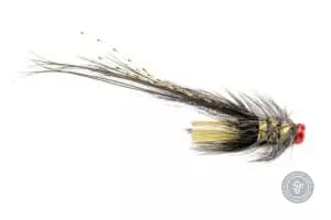 Black pot belly pig tube fly
