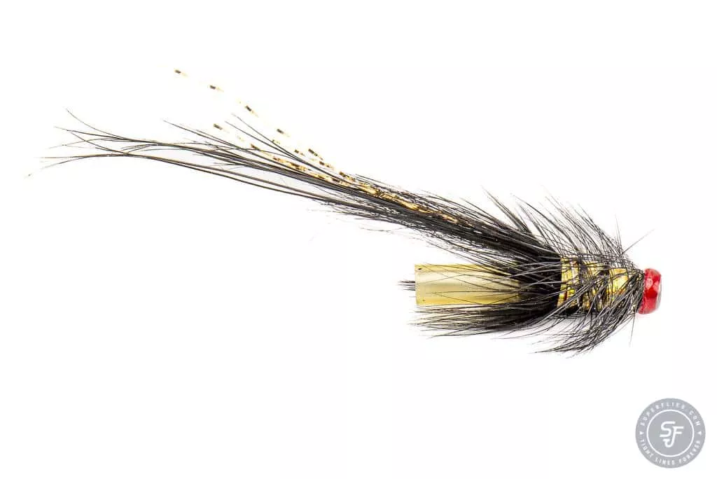 Black pot belly pig tube fly