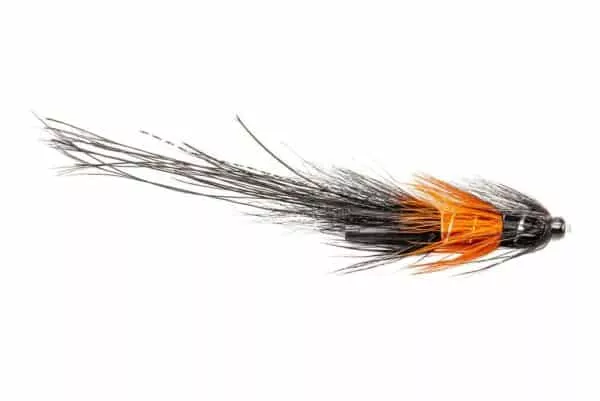 Black Pot Belly Pig Shripm Tube fly