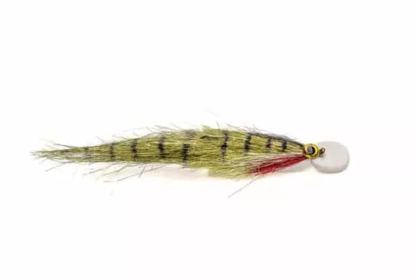 Surffilauta fly in perch color