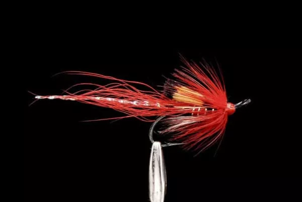Ally's Red Shrimp