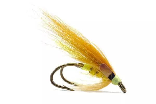 Dirty Banana Fly