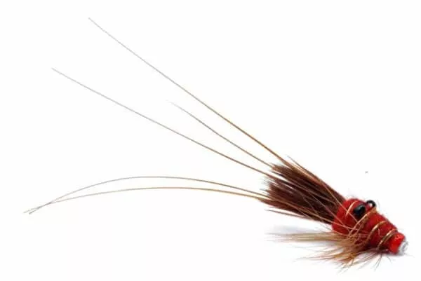 Black Eyed Prawn tungstenputki