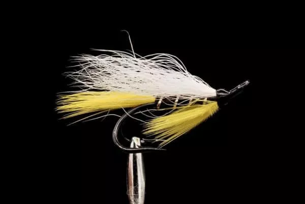 Black Ghost Salmon