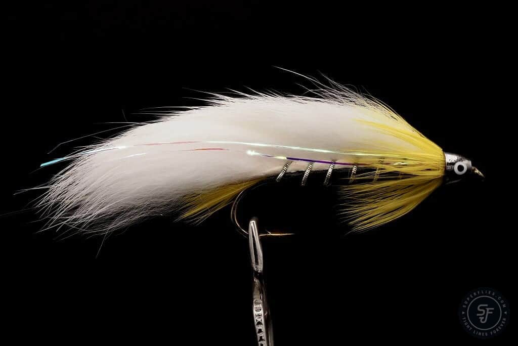 Black Ghost Zonker Brass Conehead Istareista Islantiin