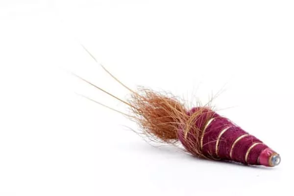 Frances Burgundy kupariputki