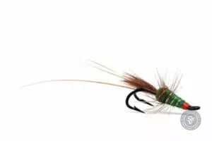 Green Frances fly