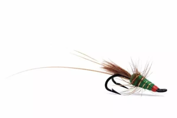 Green Frances fly