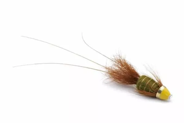 Frances Olive Tungsten Conehead