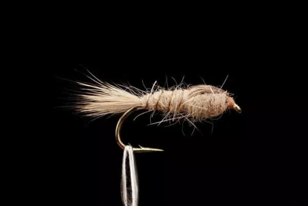 Hare's Ear Grey
