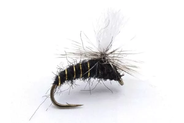 Klinkhämer Special - Image 4