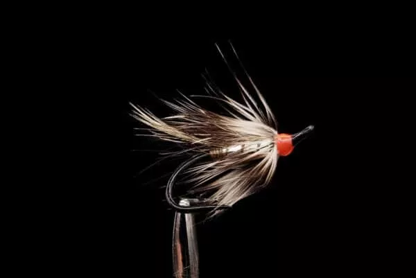 Silver Rat Partridge
