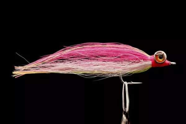 Striper Minnow - Image 5