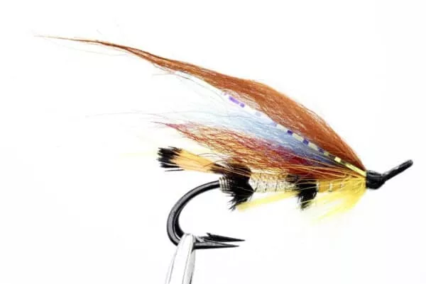 Torrish Yellow
