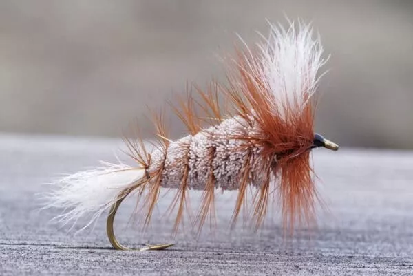 Wulff Pinta-Bomber - Image 7
