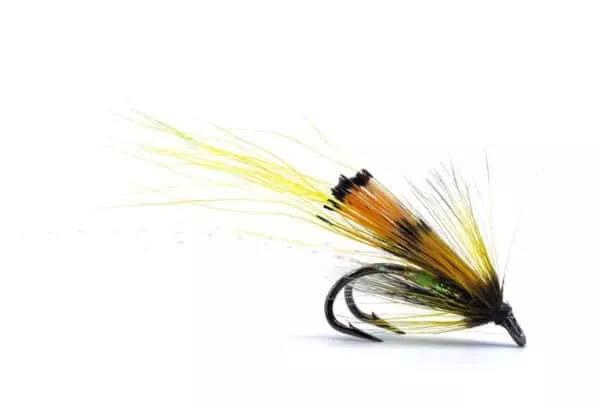 Ally's Yellow Shrimp